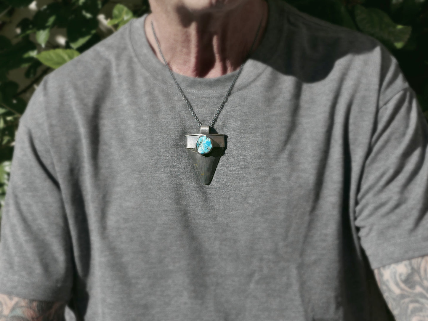 Megalodon tooth for sale