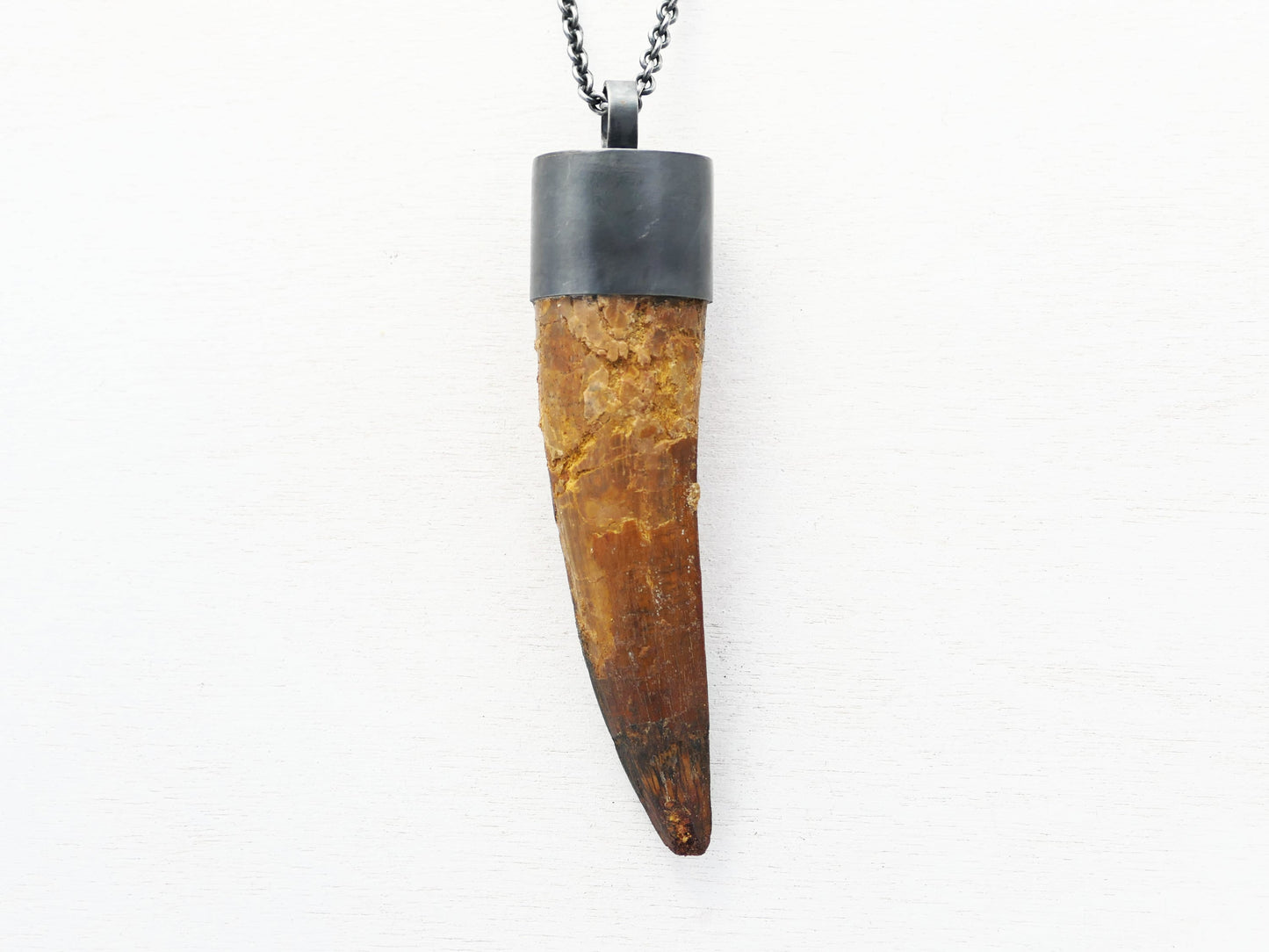 Huge Spinosaurus Tooth Necklace: Authentic Fossilized Dino Pendant, Sterling Silver Setting
