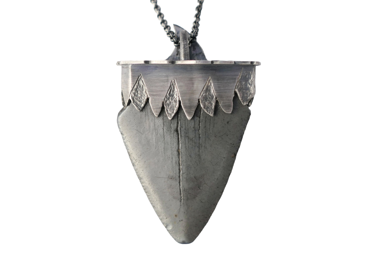 large Megalodon tooth pendant