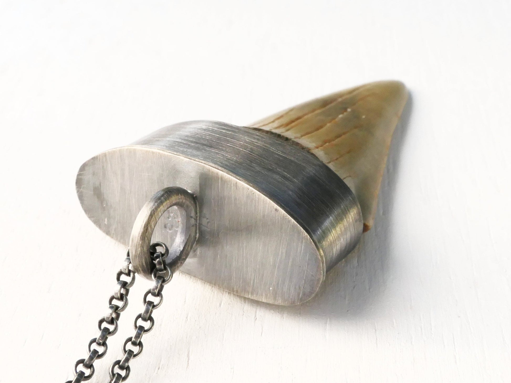 hand forged Hastalis shark tooth jewelry