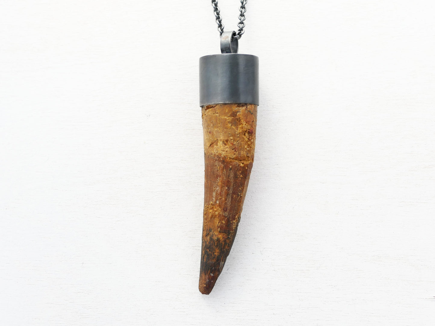 Huge Spinosaurus Tooth Necklace: Authentic Fossilized Dino Pendant, Sterling Silver Setting