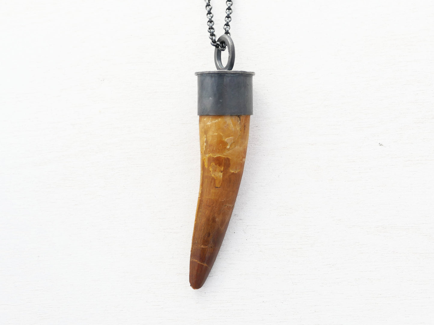 Spinosaurus Tooth pendant sterling silver setting