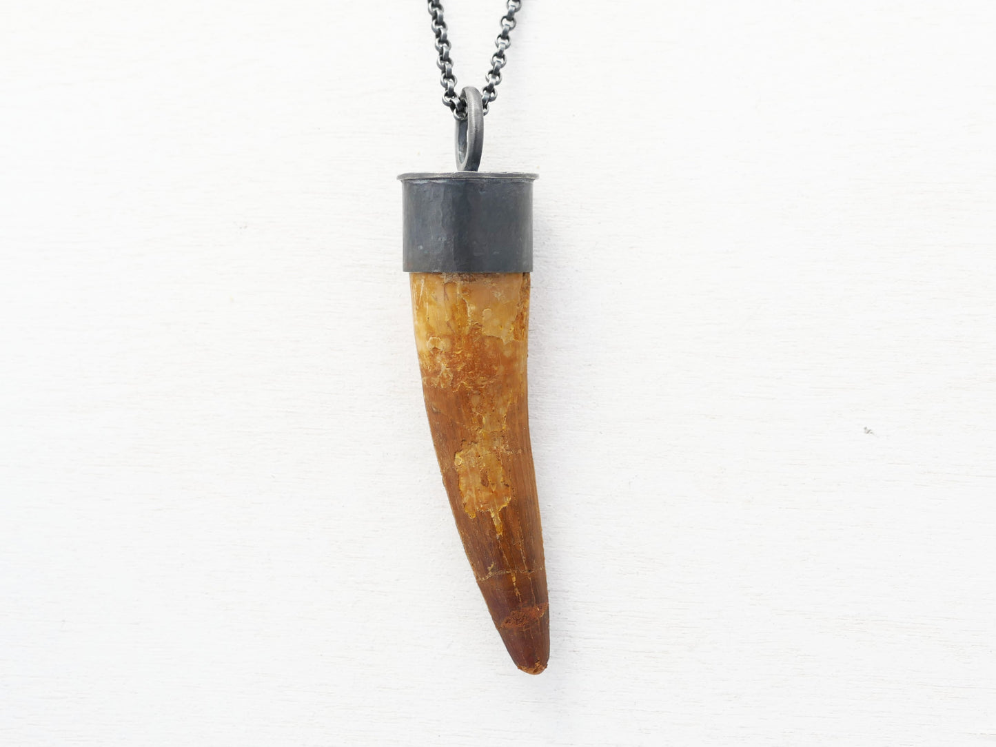 Real Spinosaurus Tooth necklace