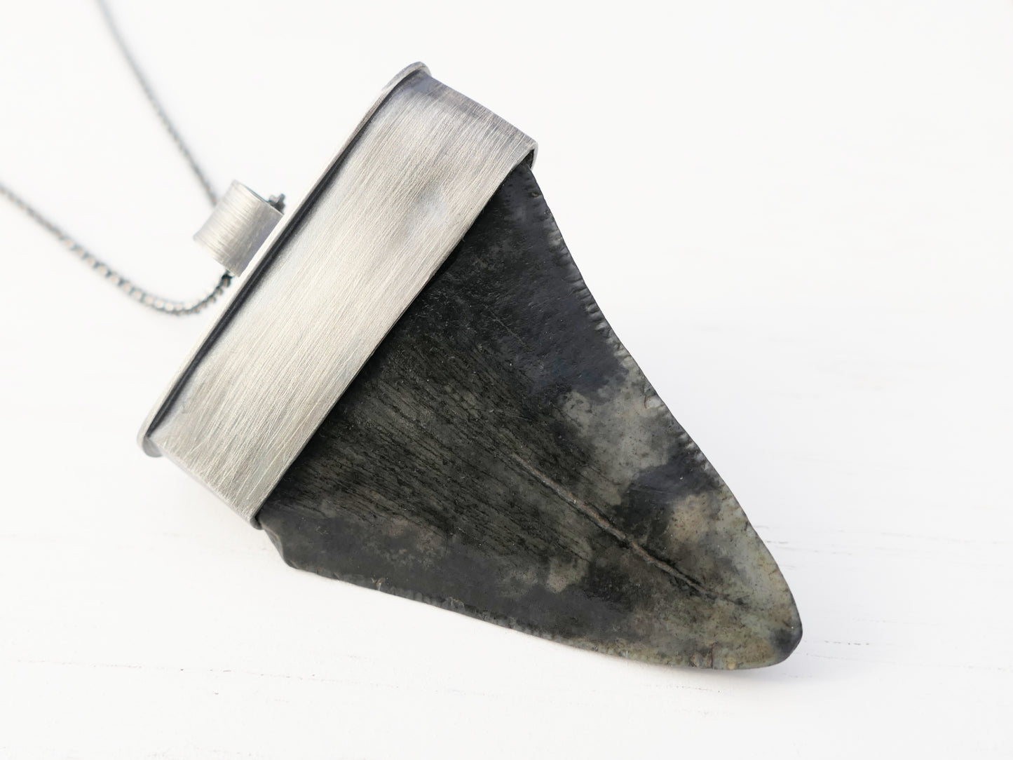 large megalodon shark tooth necklace