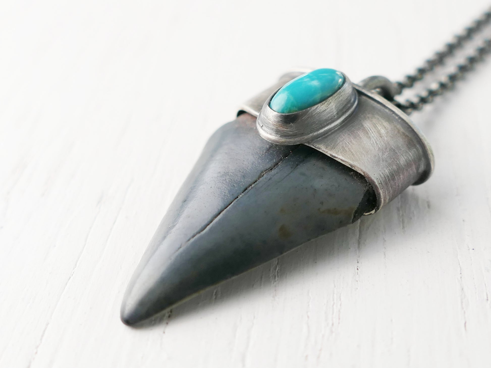 hastalis shark tooth, turquoise pendant