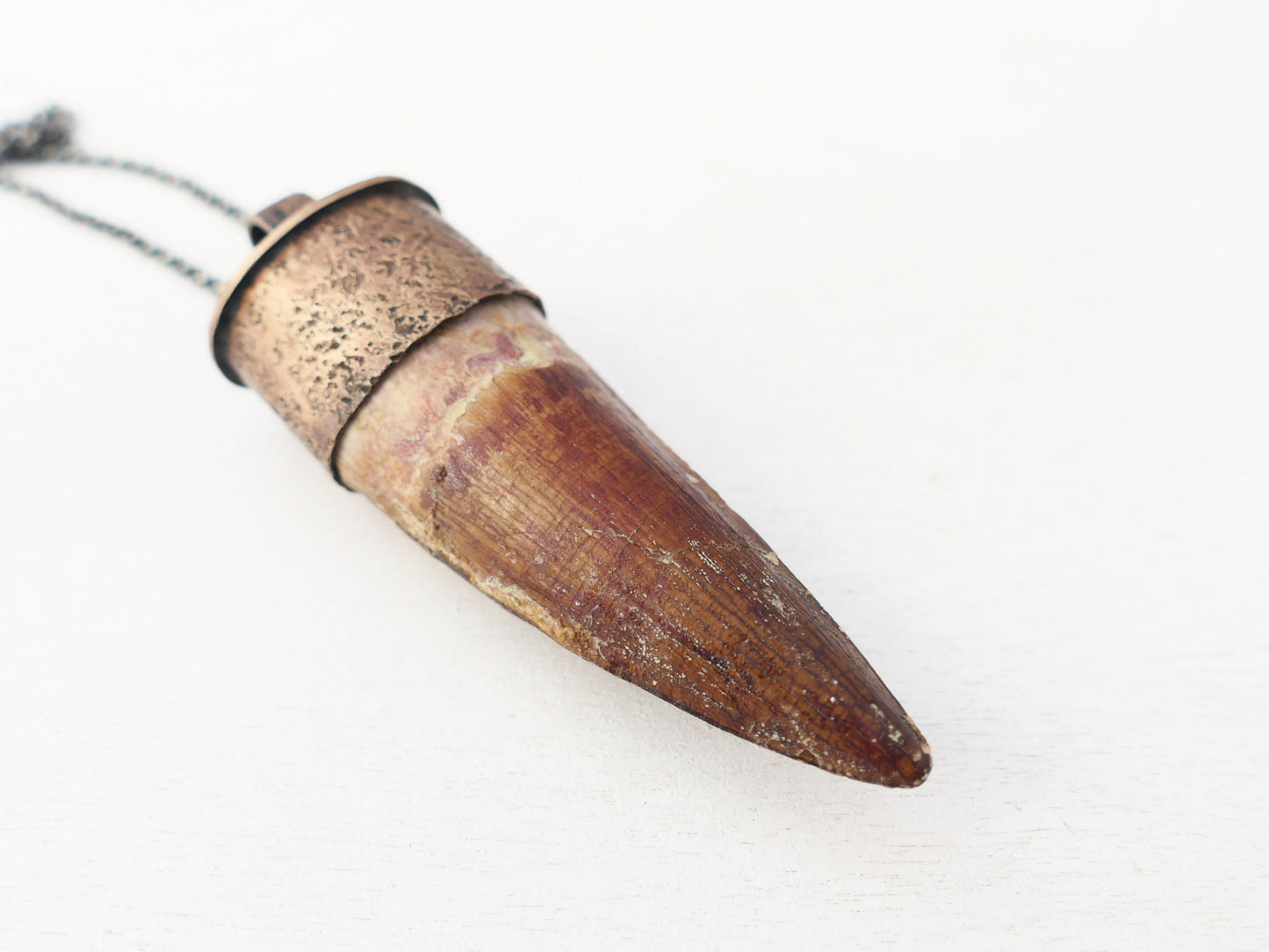 Spinosaurus Tooth Jewelry