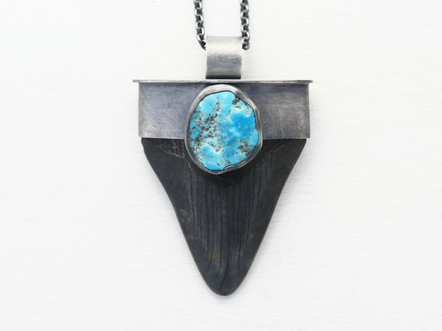 Megalodon tooth with Kingman turquoise nugget