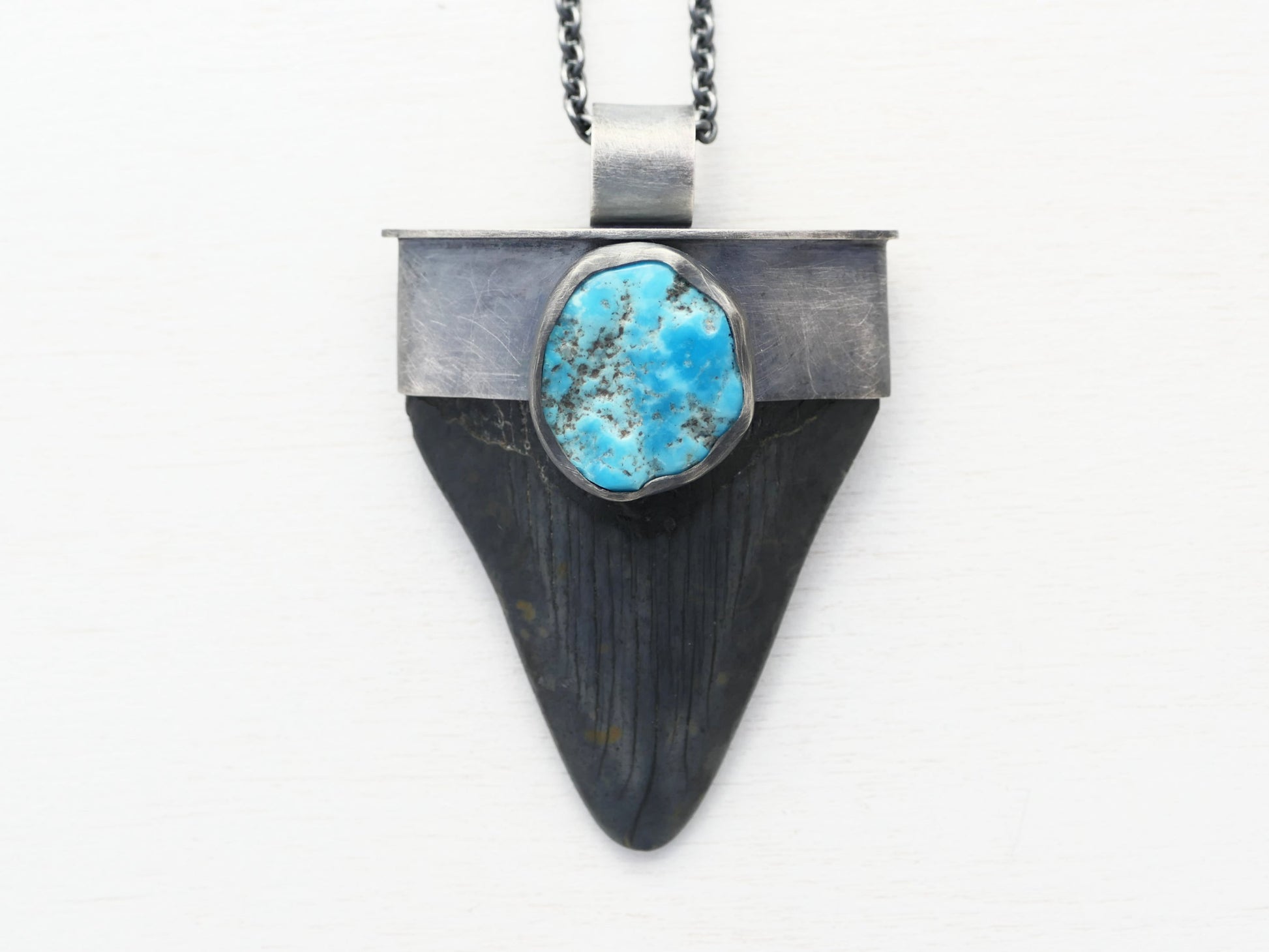 Megalodon tooth with Kingman turquoise nugget