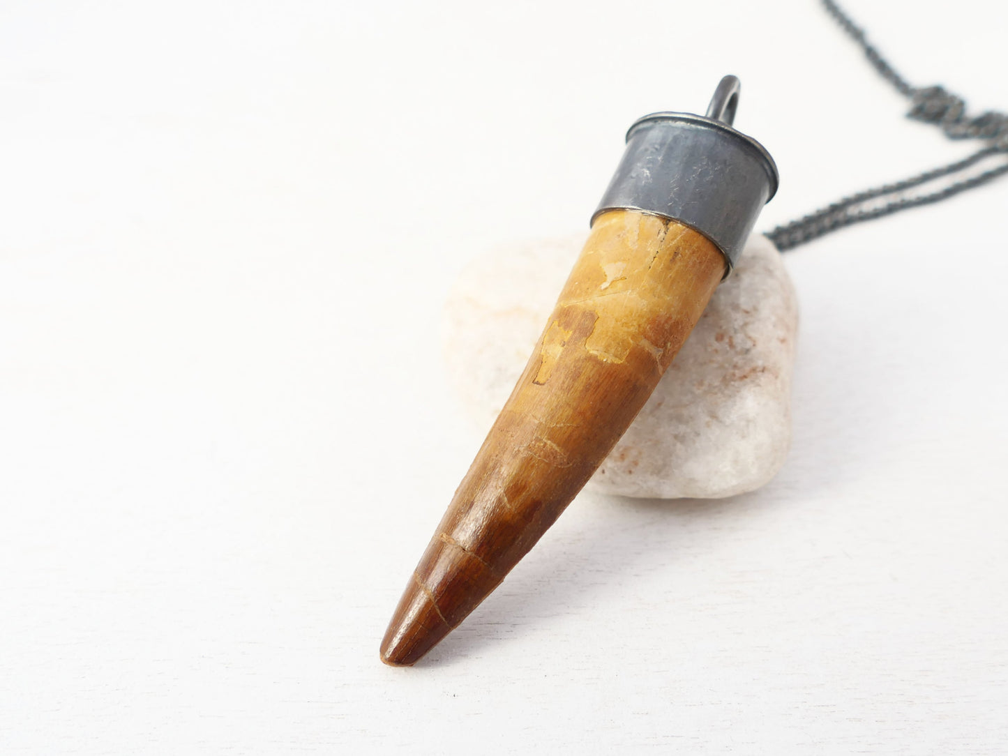 Spinosaurus Tooth Jurassic World