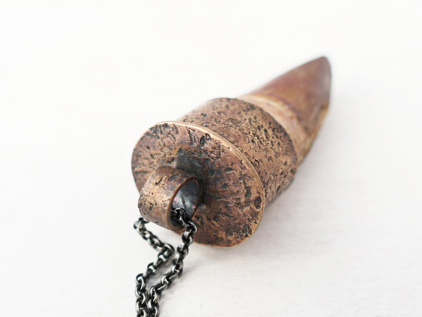 Genuine Spinosaurus Tooth set in Bronze