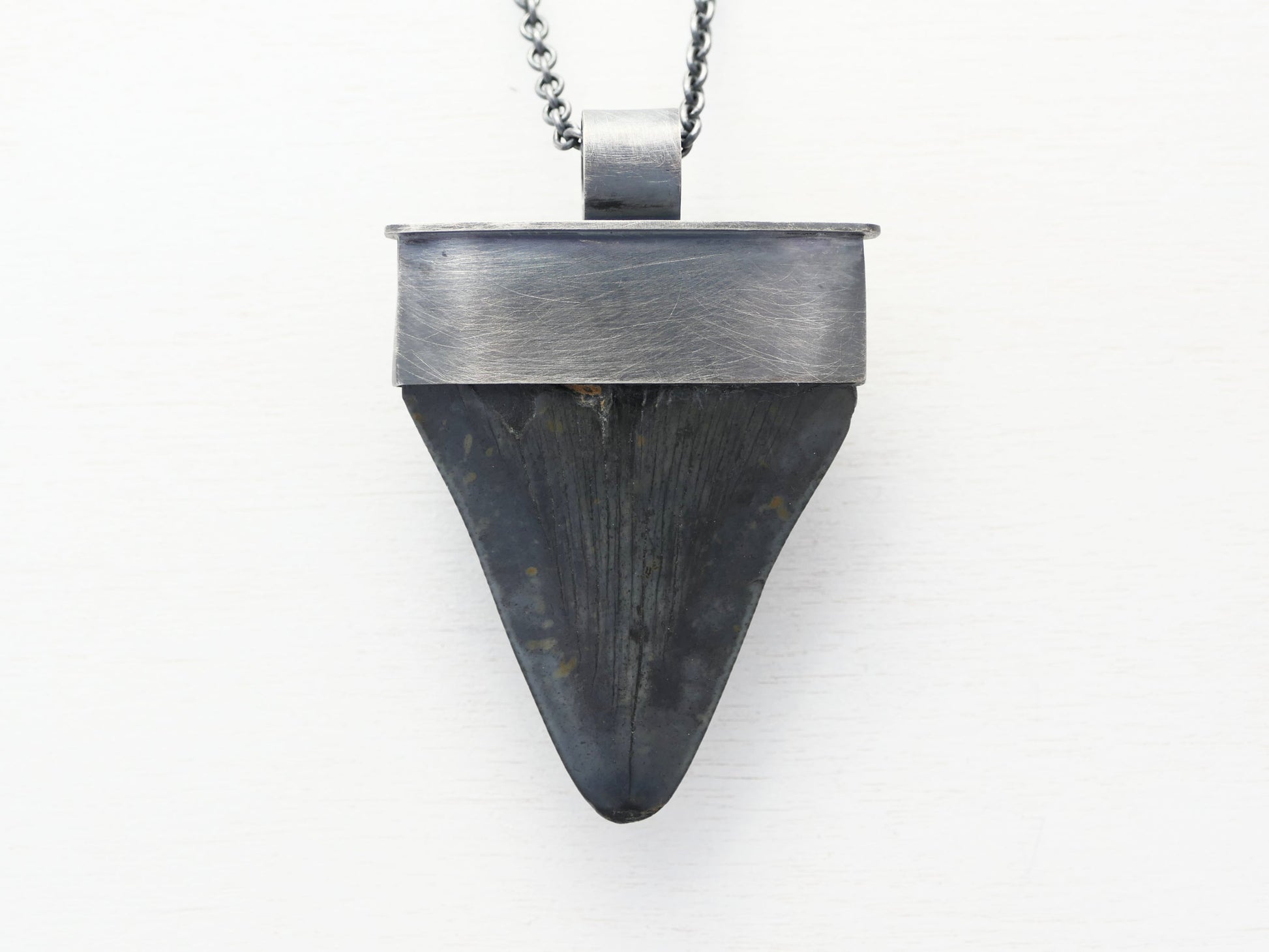 Megalodon tooth necklace for men and women