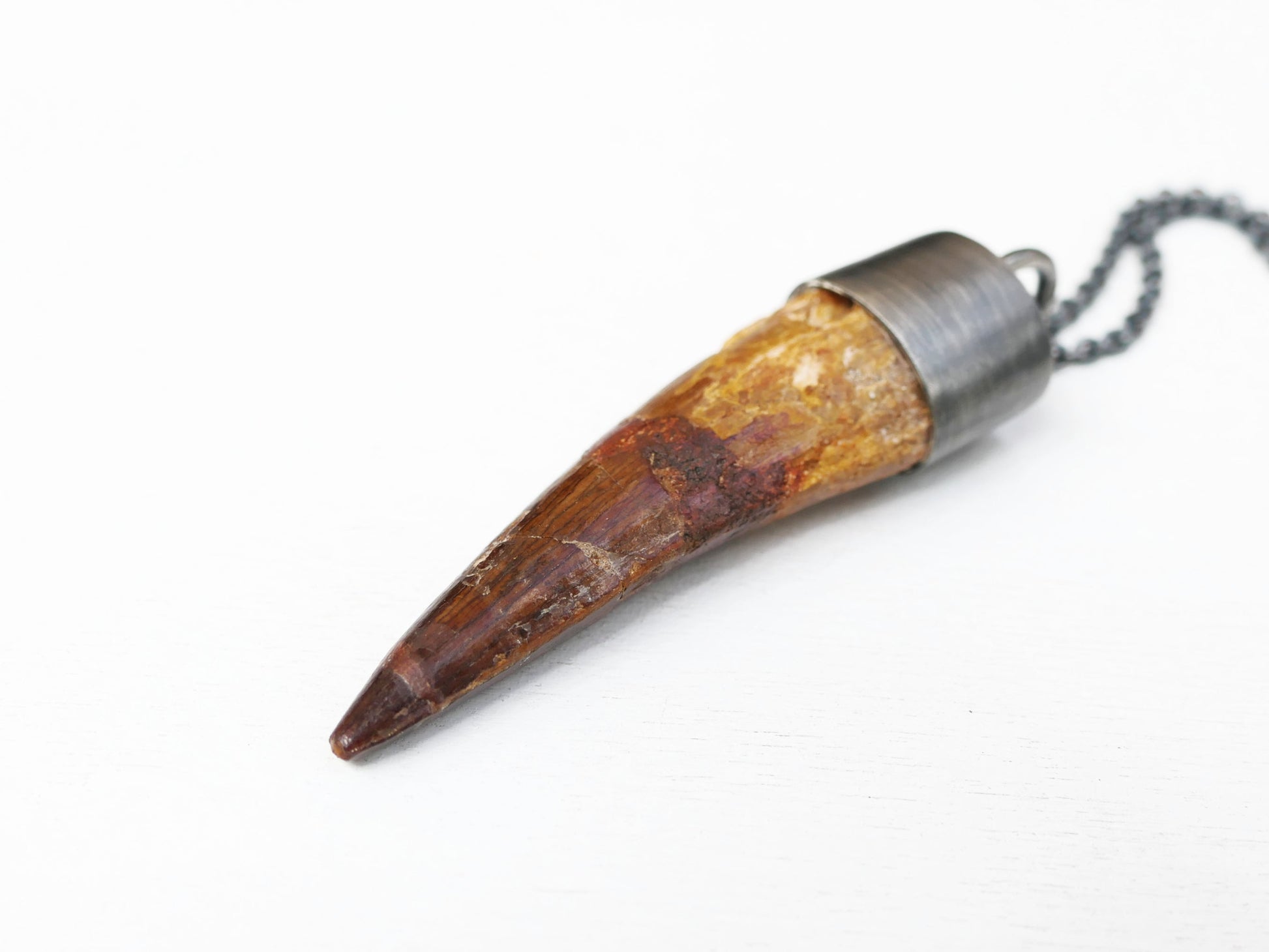 Spinosaurus tooth necklace