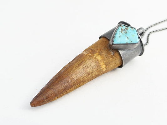 Large spinosaurus tooth necklace with turquoise accent in sterling silver setting.