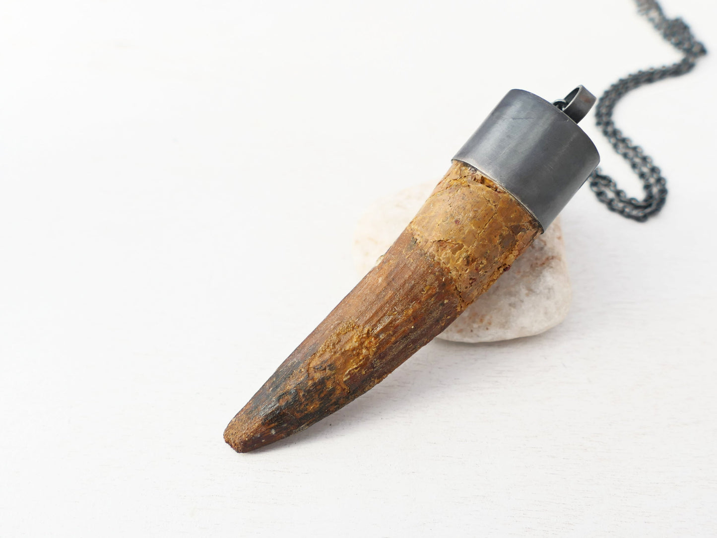 Huge Spinosaurus Tooth Necklace: Authentic Fossilized Dino Pendant, Sterling Silver Setting