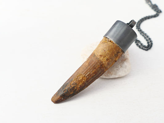 Huge Spinosaurus Tooth Necklace: Authentic Fossilized Dino Pendant, Sterling Silver Setting