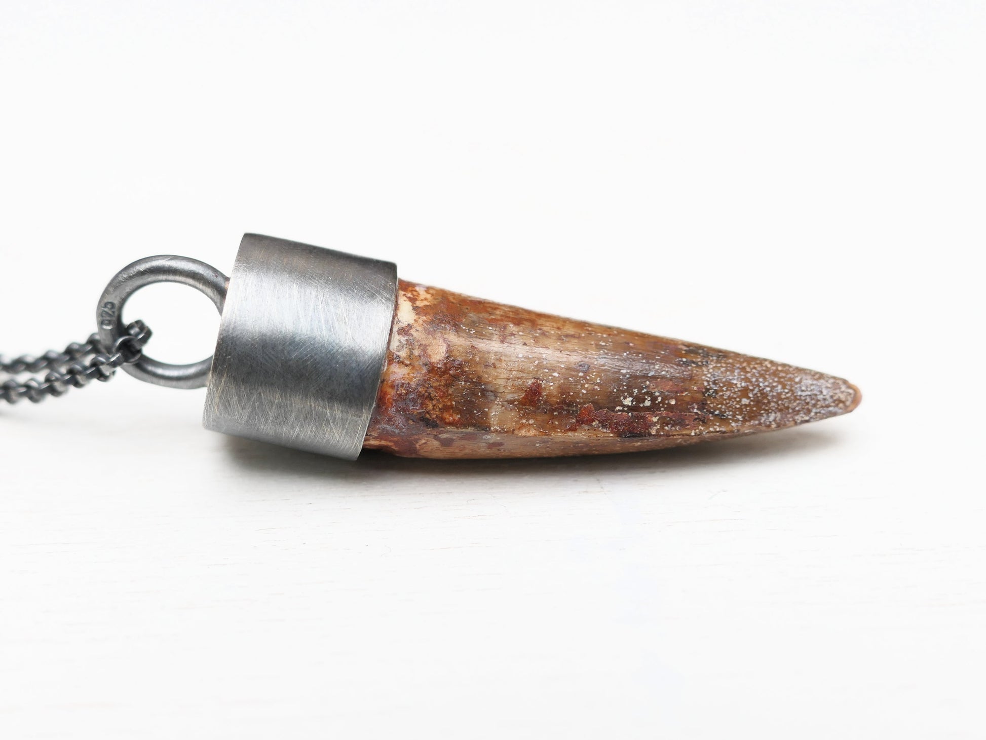 real Spinosaurus tooth pendant