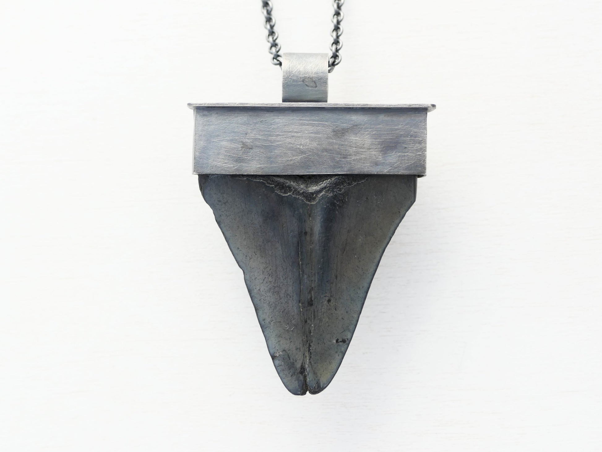 authentic Megalodon tooth set in sterling silver